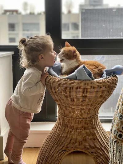 a girl kissing a cat